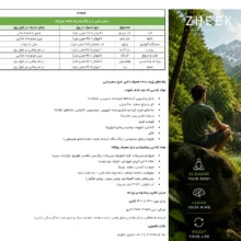 پک عرقیجات سم زدا و دیتاکس بدن ژیک حجم 1 لیتر بسته 12 عددی