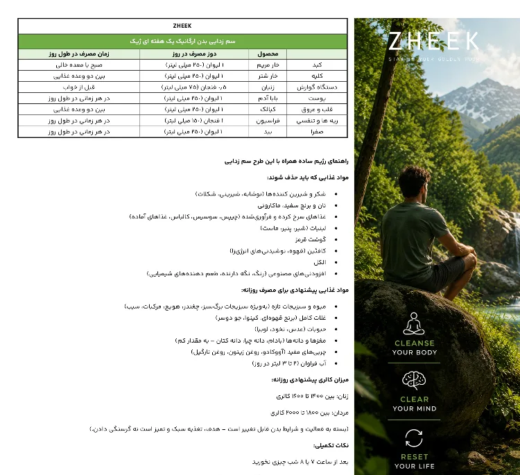 پک عرقیجات سم زدا و دیتاکس بدن ژیک حجم 1 لیتر بسته 12 عددی