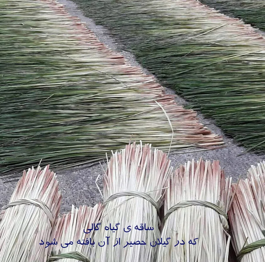 سبد حصیری کد brfp447