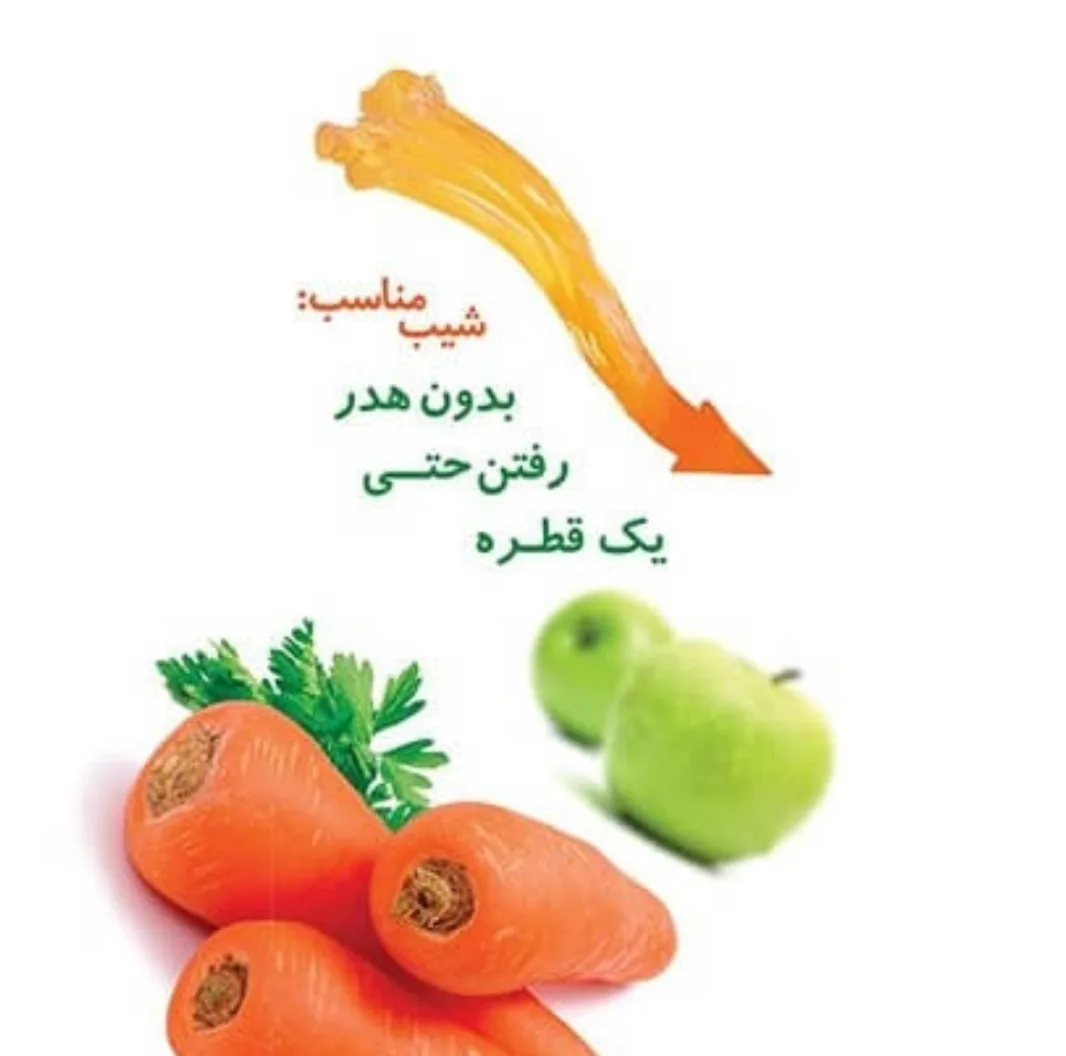 آبمیوه گیری فلر مدل PJ620