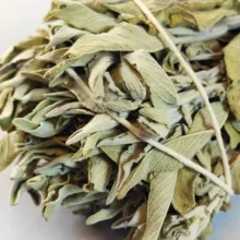 اسماج مدل مریمگلی کالیفرنیایی