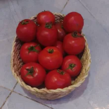 سبد بیضی حصیری کد 45