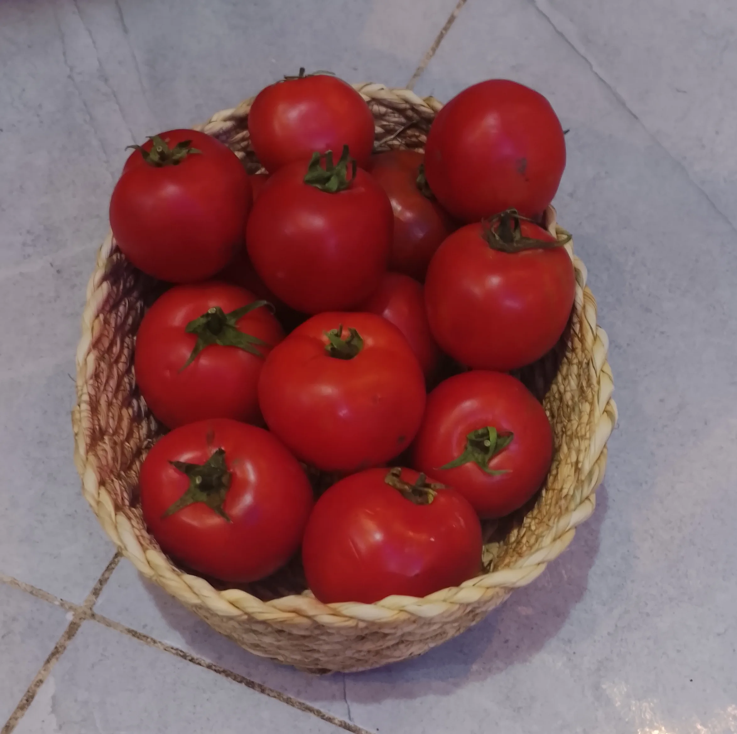 سبد بیضی حصیری کد 45
