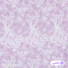 روبالشی آدنو مدل نبات کد FI119 سایز 70x50 سانتی متر بسته 2 عددی