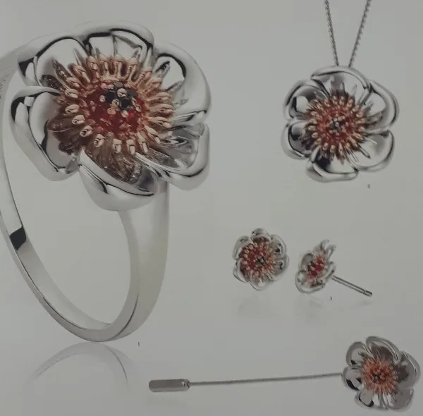 مجله CLOGAU جولاي 2019