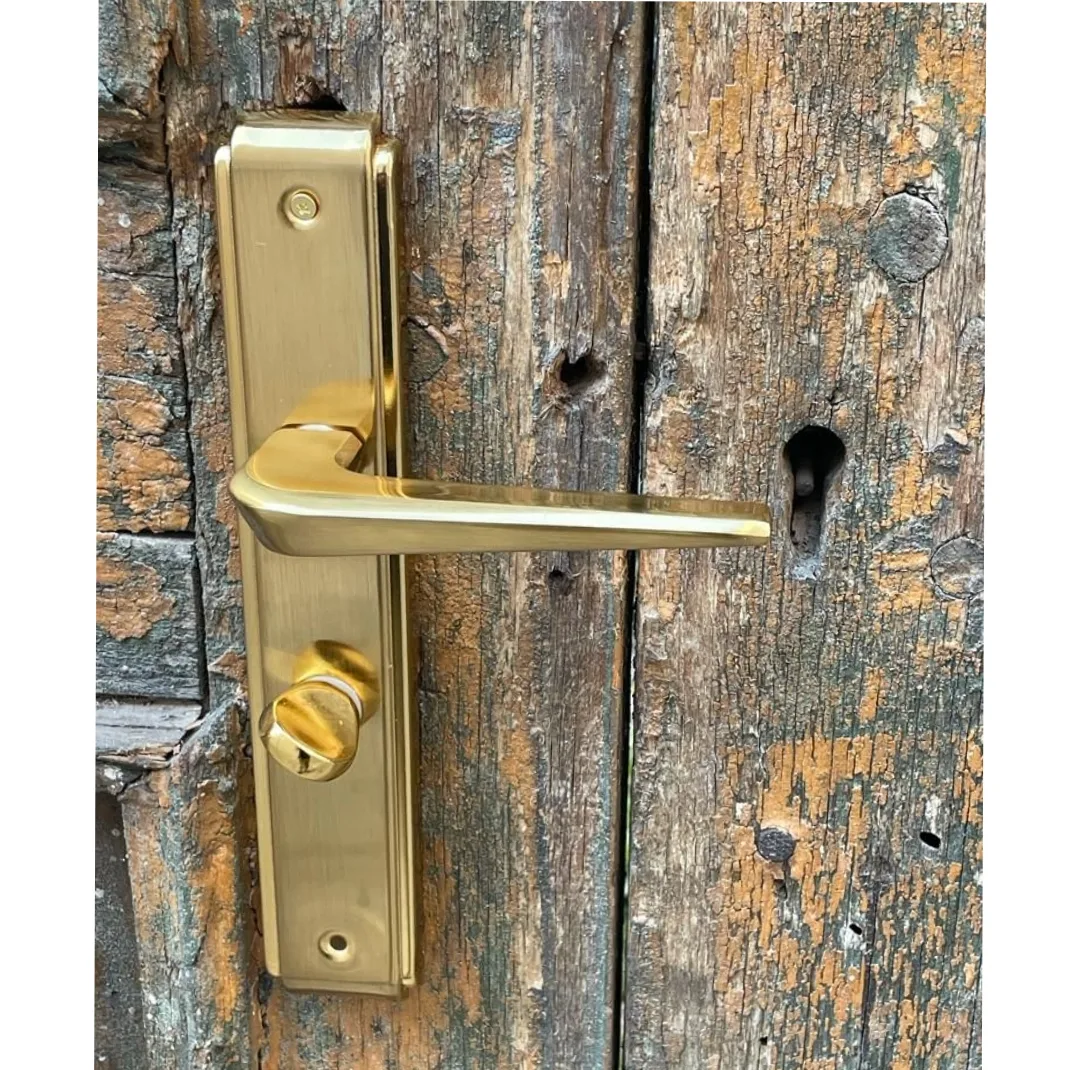 دستگیره در مدل سرویس wc110 چپ باز شو بسته دو عددی