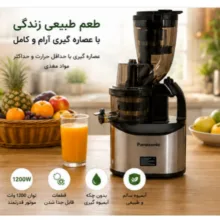 عصاره گیر پاناسونیک مدل DJ34