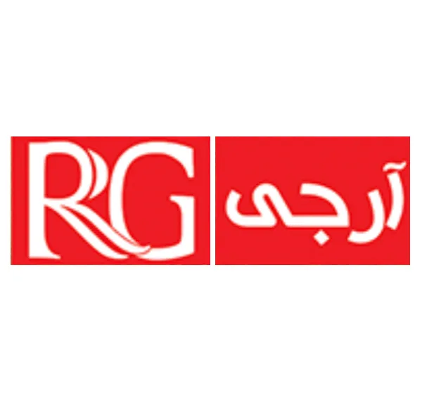 هیتر گازی ایستاده آرجی مدل H460