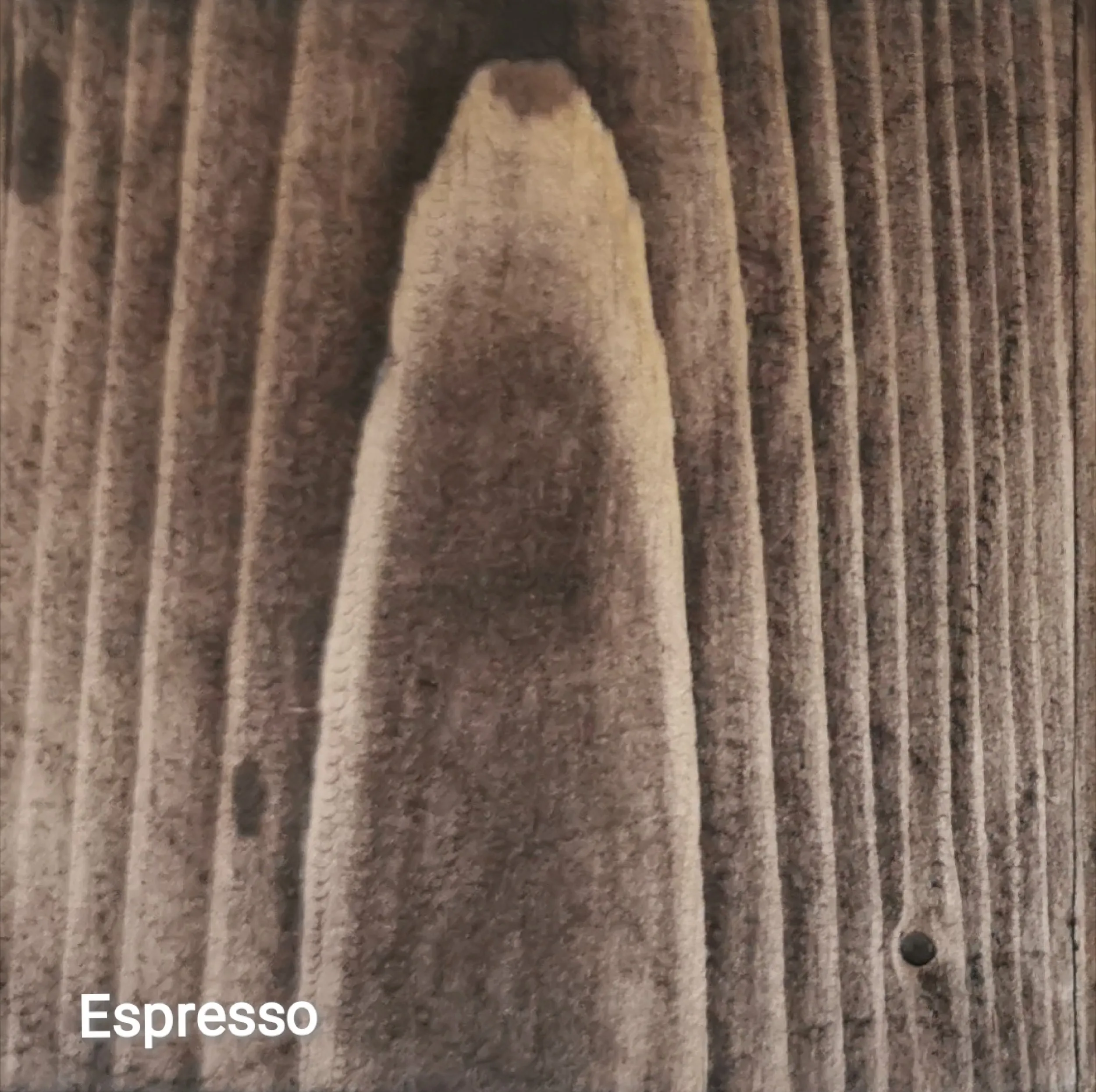 روغن گیاهی چوب ممرز کد Espresso 01 حجم 250 میلی لیتر