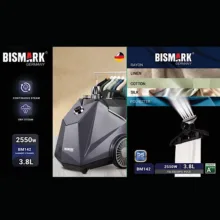 اتو ایستاده 2550 وات بیسمارک مدل BM142