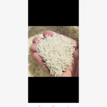 برنج طارم مازندران مزرعه طارم - 5 کیلوگرم