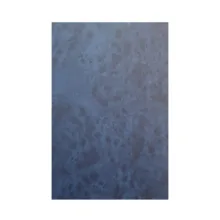 کتاب تاریخ هرودوت اثر هرودوت ترجمه‌ مرتضی ثاقب‌فر انتشارات اساطیر ۲ جلدی