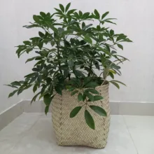 سبد حصیری مدل استوانه کد cm23-21