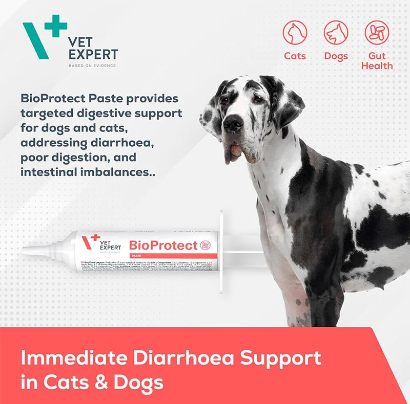 خمیر بیوپروتکت وت اکسپرت سگ و گربه مدل BioProtect Paste مناسب برای سلامت دستگاه گوارش حجم 15 میلیلیتر