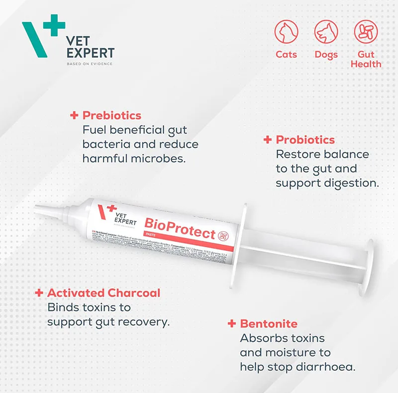 خمیر بیوپروتکت وت اکسپرت سگ و گربه مدل BioProtect Paste مناسب برای سلامت دستگاه گوارش حجم 15 میلیلیتر